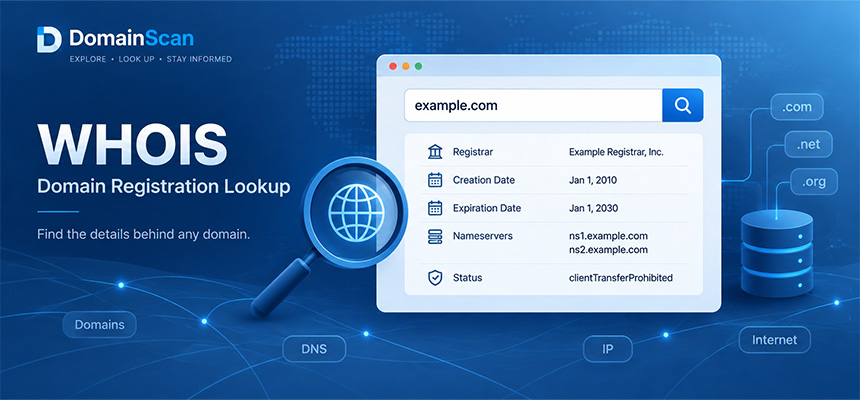 What Is WHOIS? How to Look Up Domain Registration Information